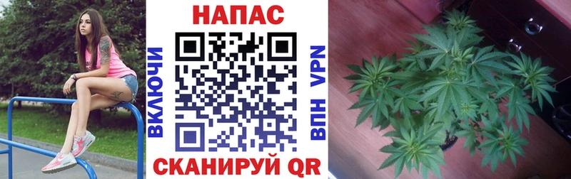 Купить закладку МАРИХУАНА  Альфа ПВП  Кокаин  Гашиш  Меф  Жердевка