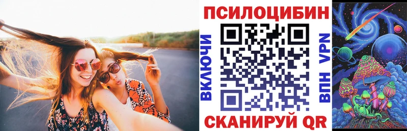 Псилоцибиновые грибы ЛСД  Купить закладки  Жердевка 